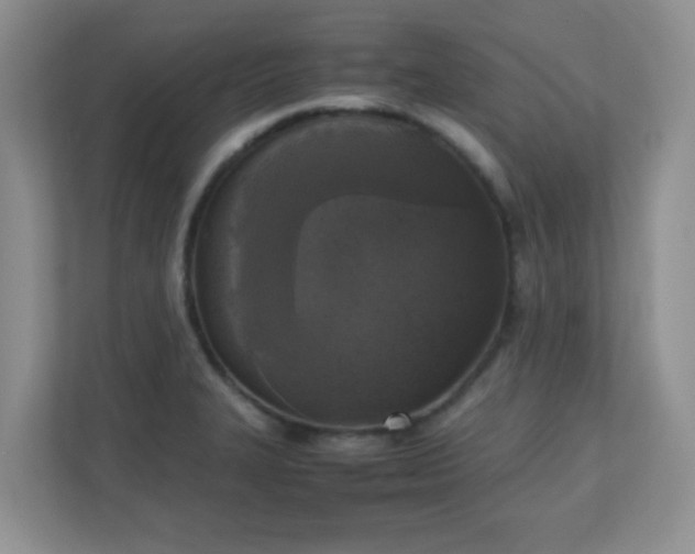 X0000110711327200906191540