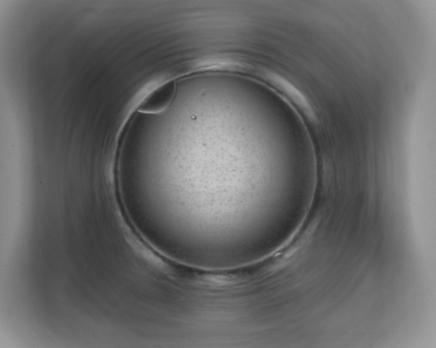 X0000110711330200906191540