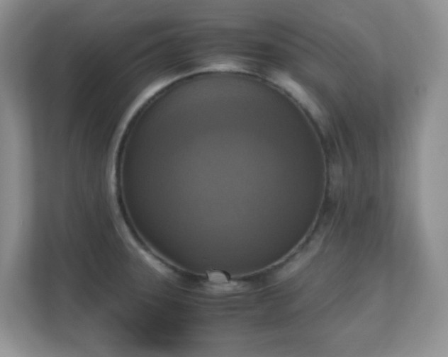X0000110711331200906191540