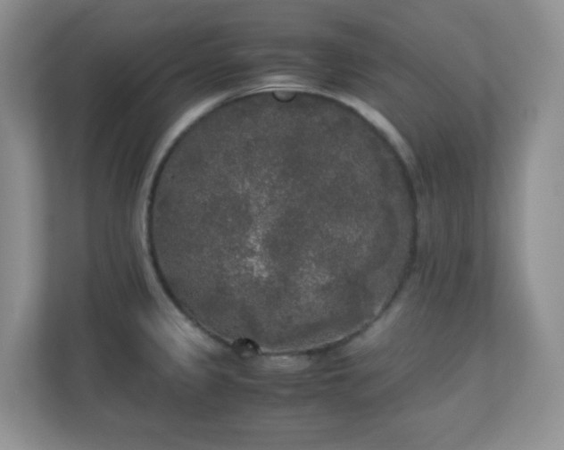 X0000110711333200906191540