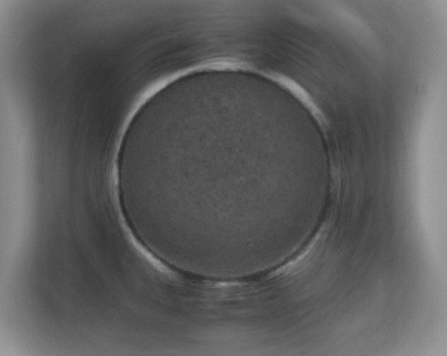X0000110711335200906191540