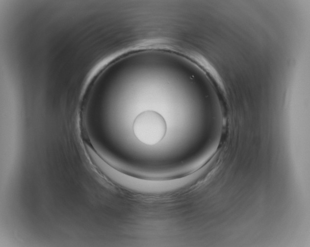 X0000110711336200906191540