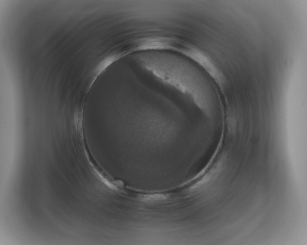 X0000110711337200906191540