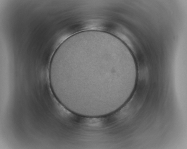 X0000110711338200906191540