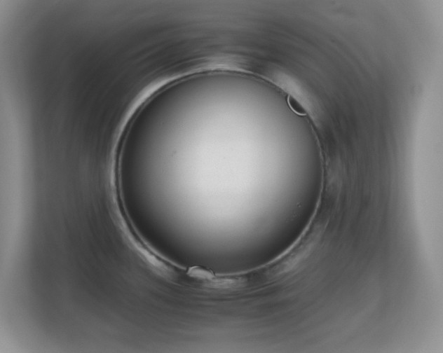 X0000110711339200906191540