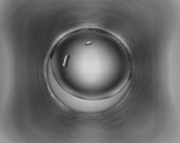 X0000110711342200906191540