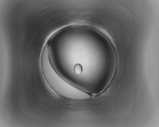 X0000110711344200906191540