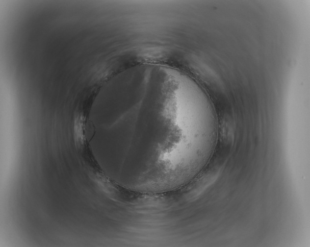 X0000110711346200906191539