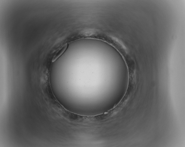 X0000110711349200906191539