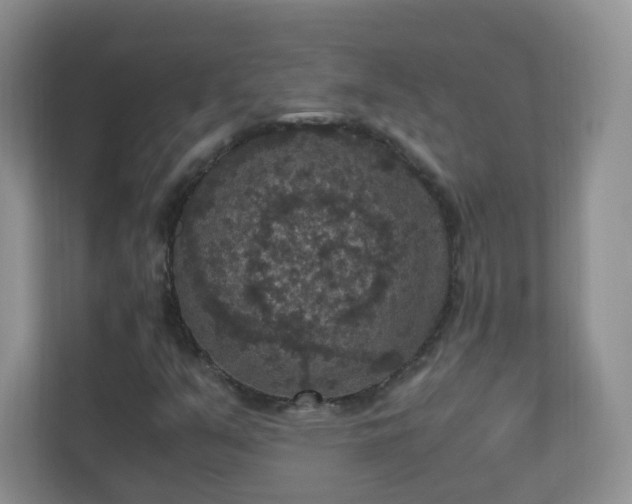 X0000110711351200906191539