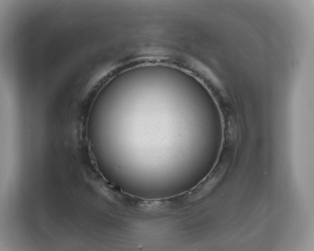 X0000110711352200906191539