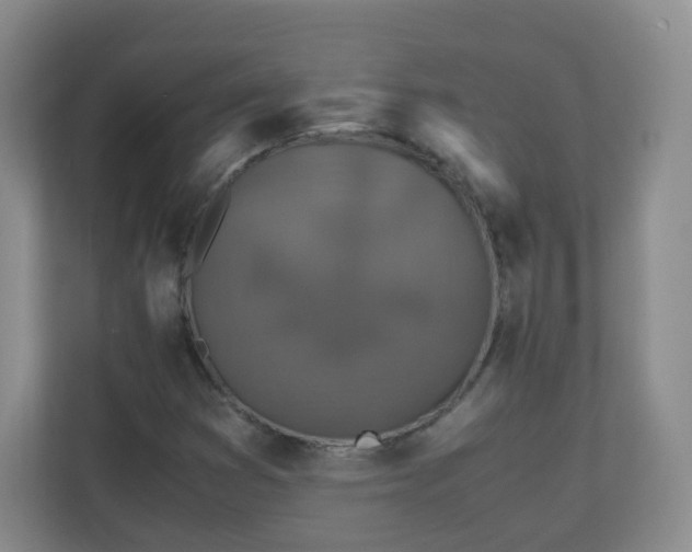 X0000110711353200906191539