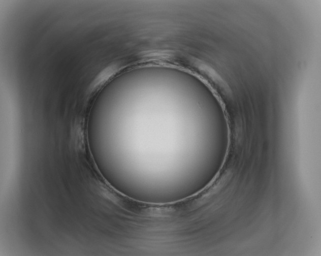 X0000110711354200906191539
