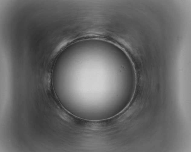 X0000110711355200906191539