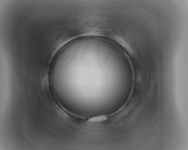 X0000110711356200906191539