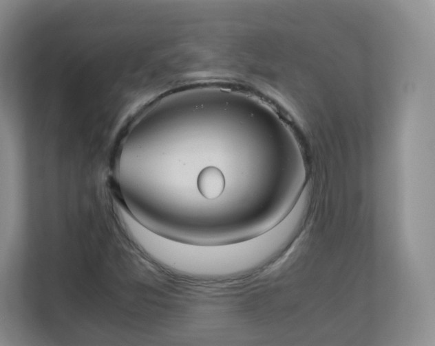 X0000110711357200906191539