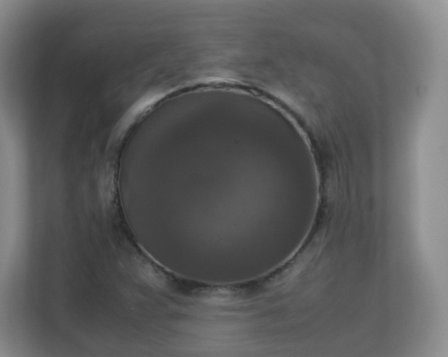 X0000110711359200906191539