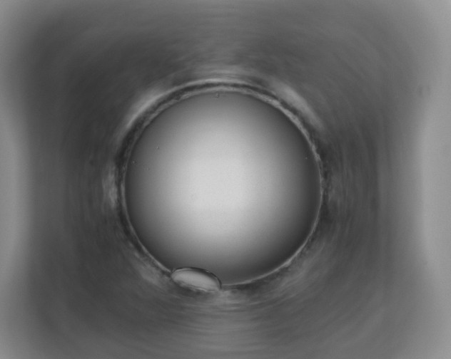 X0000110711360200906191539