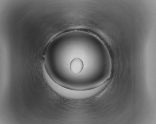 X0000110711361200906191539