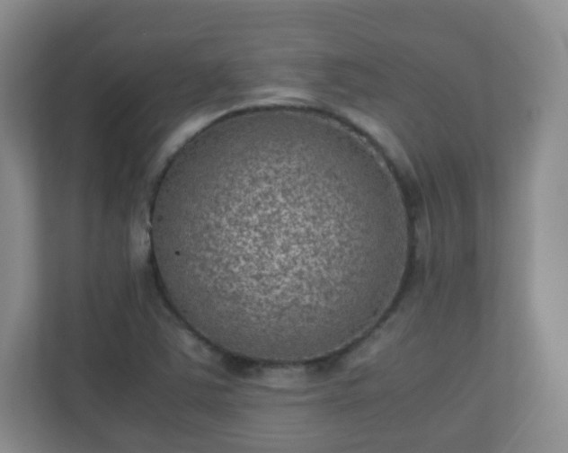 X0000110711363200906191539
