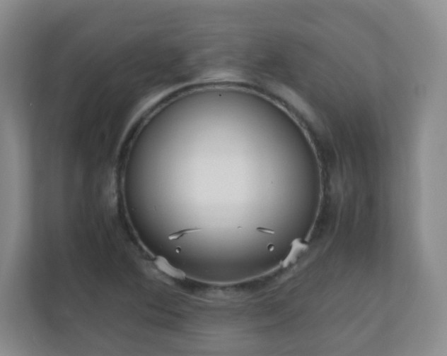 X0000110711364200906191539