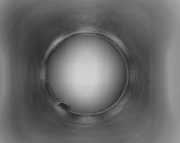 X0000110711366200906191539