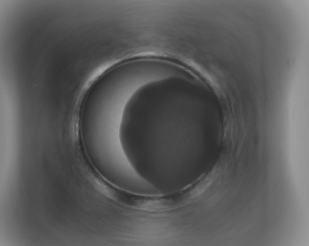 X0000110711367200906191539