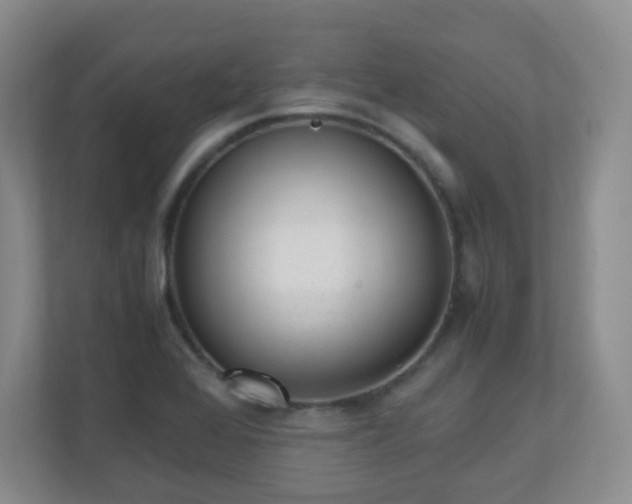 X0000110711368200906191539