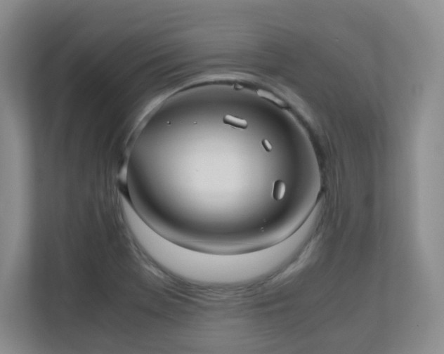X0000110711369200906191539