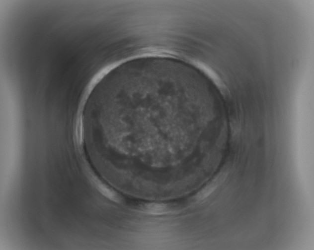X0000110711371200906191539