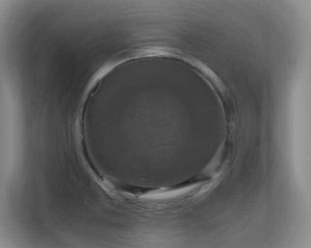 X0000110711373200906191539