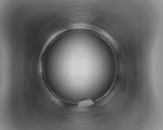 X0000110711376200906191539