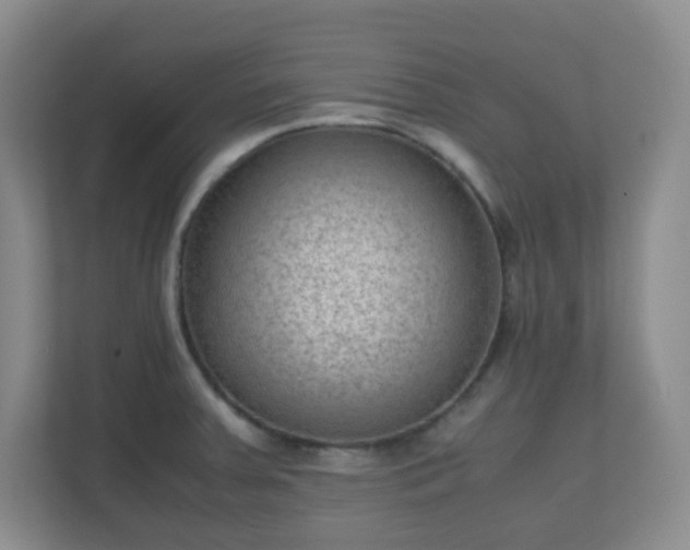 X0000110711379200906191539