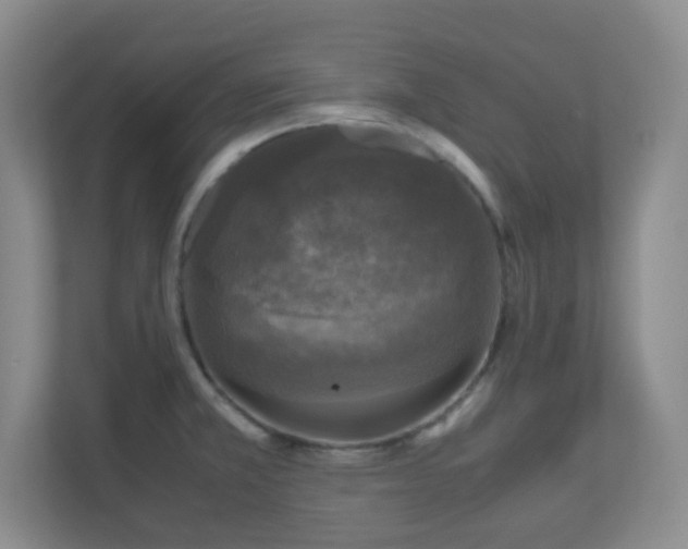 X0000110711381200906191539