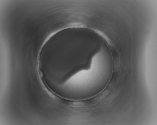 X0000110711383200906191539