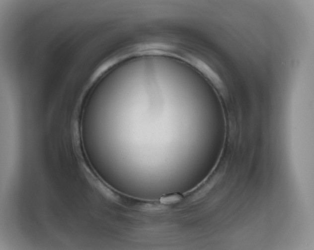 X0000110711384200906191539