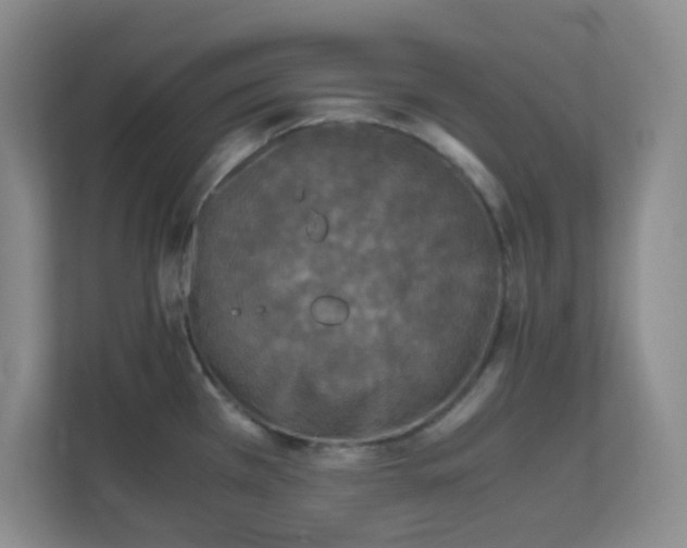 X0000110711385200906191539