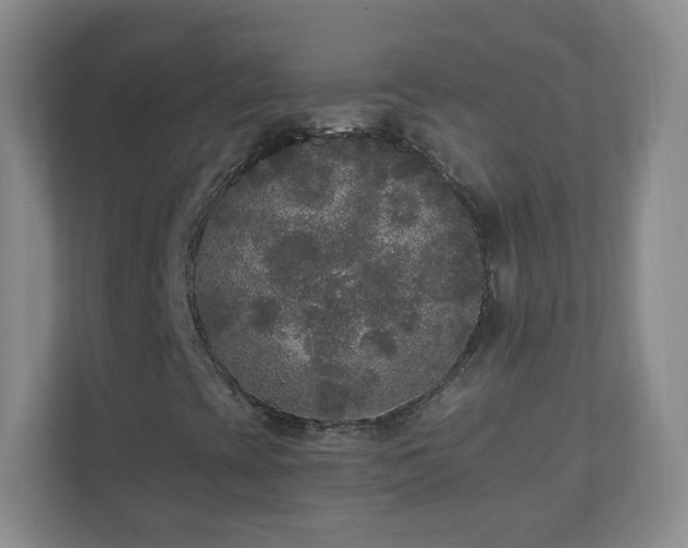 X0000110711393200906191538