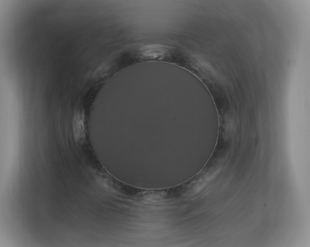 X0000110711394200906191538