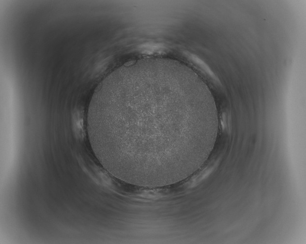 X0000110711396200906191538
