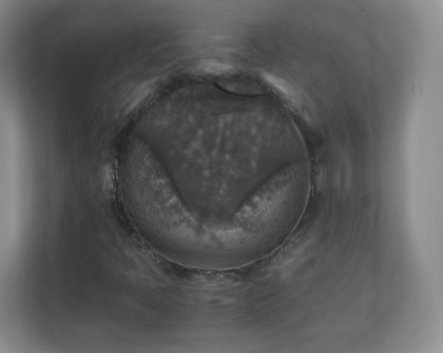 X0000110711397200906191538