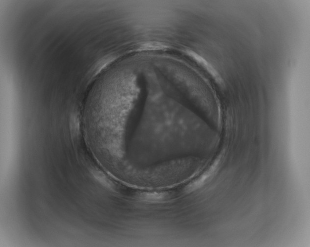 X0000110711401200906191538