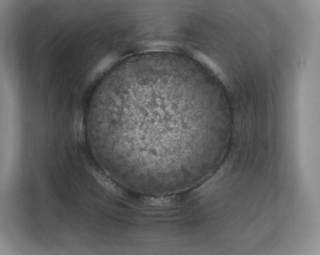 X0000110711403200906191538