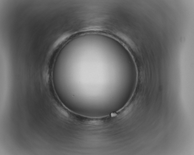 X0000110711406200906191538