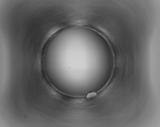X0000110711410200906191538