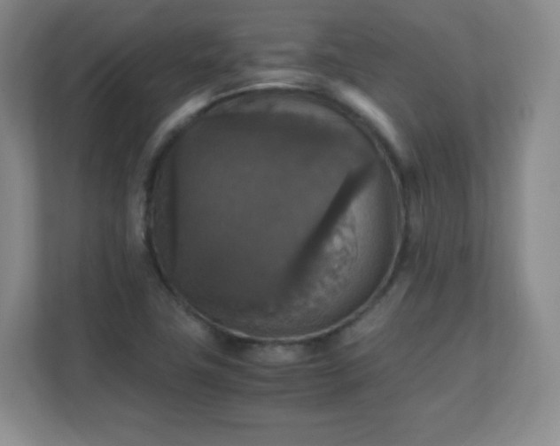 X0000110711411200906191538