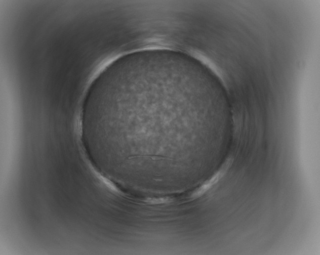 X0000110711415200906191538