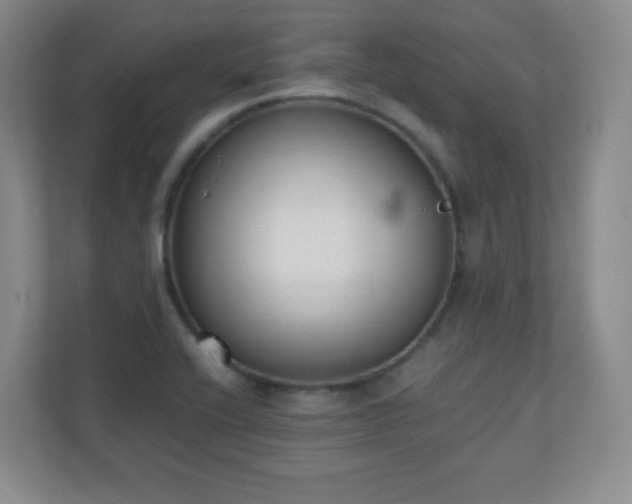 X0000110711416200906191538