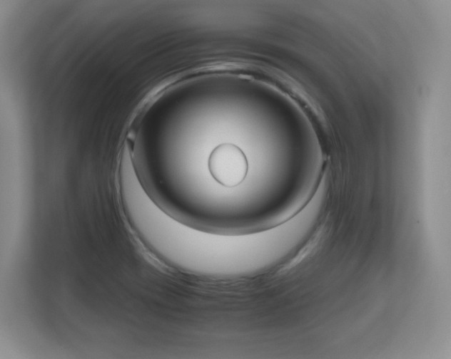 X0000110711417200906191538