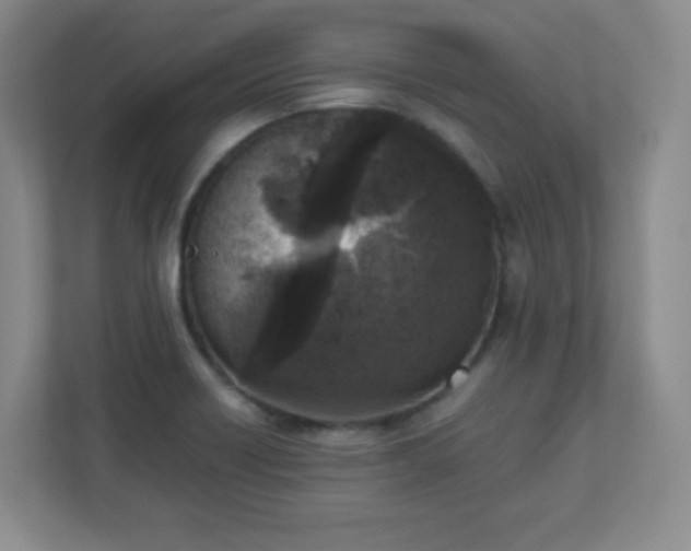 X0000110711418200906191538
